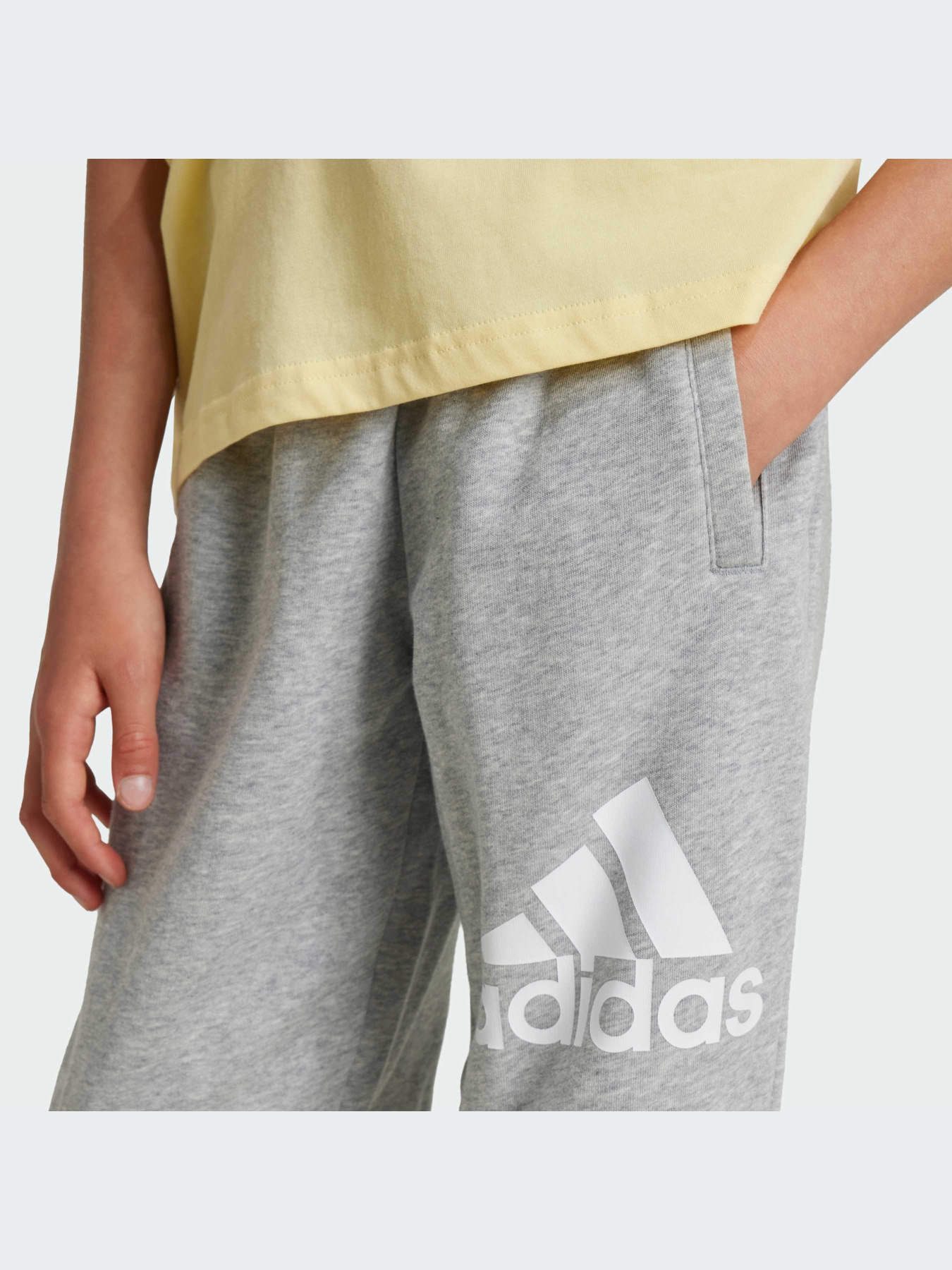 Брюки Adidas модель IX9587-KZ Фото