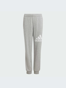 Брюки Adidas модель IX9587-KZ Фото