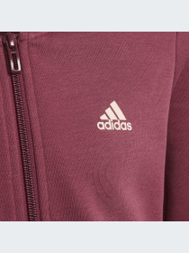 Худи и свитшоты Adidas модель GS4278-KZ Фото