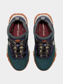 Ботинки и сапоги Timberland модель TB0A5M99EO6 Фото