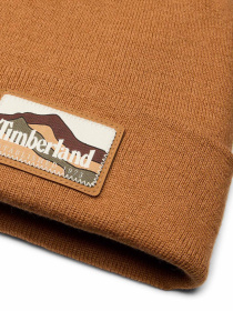 Шапки и кепки Timberland модель TB0A663T231 Фото
