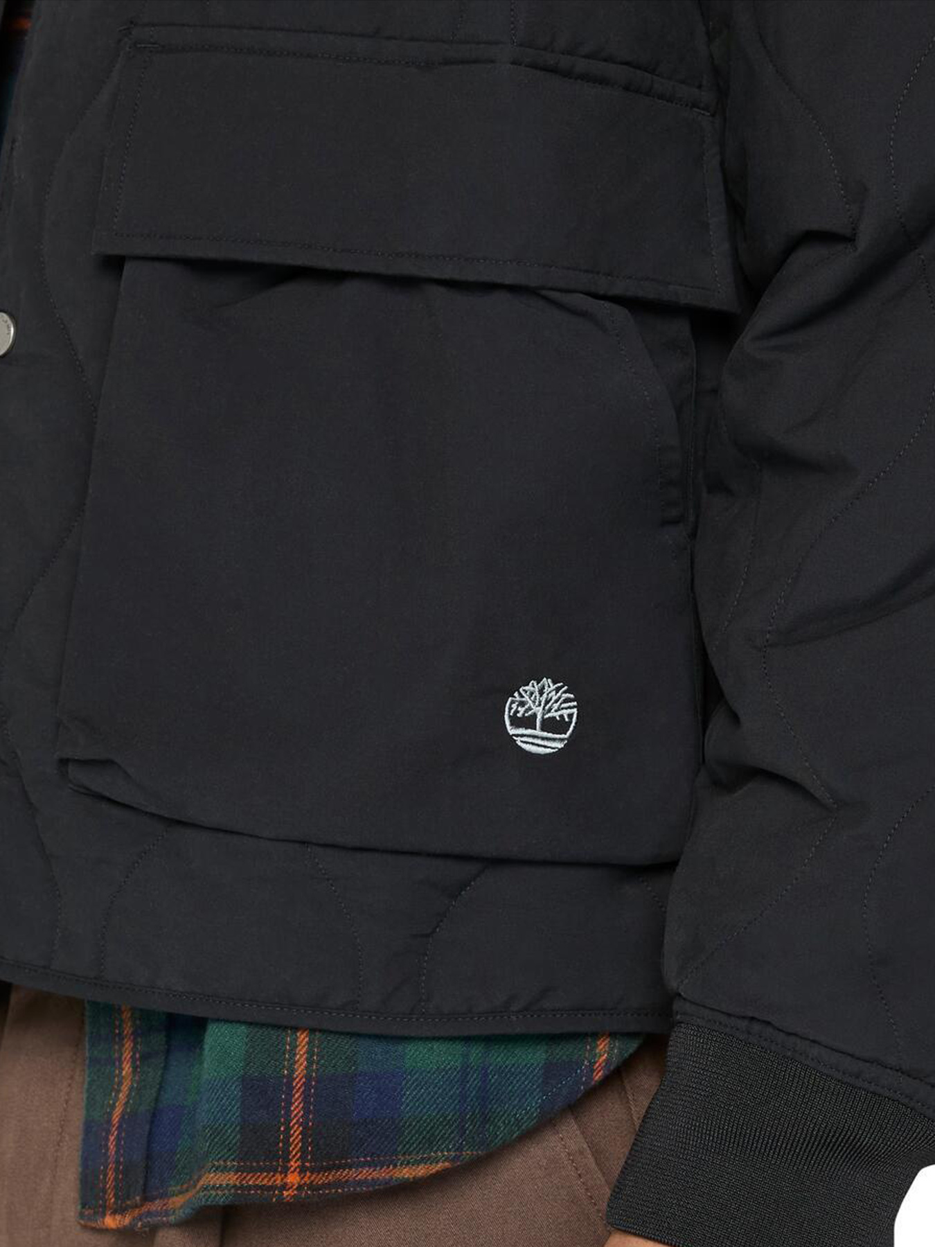 Куртки и дубленки Timberland модель TB0A6JDQ001 Фото