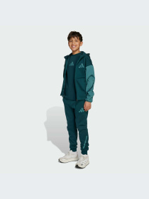 Брюки Adidas ZNE модель JW2430-KZ Фото