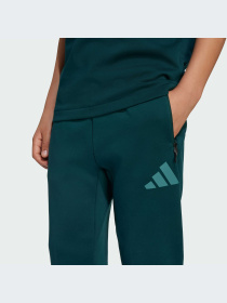 Брюки Adidas ZNE модель JW2430-KZ Фото