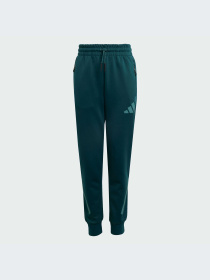 Брюки Adidas ZNE модель JW2430-KZ Фото