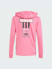 Худи и свитшоты Adidas Adicolor модель IN2115-KZ Фото