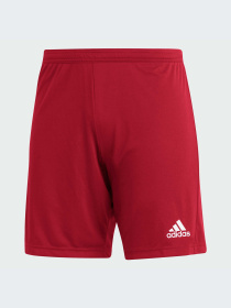 Шорты Adidas модель H61735-KZ Фото