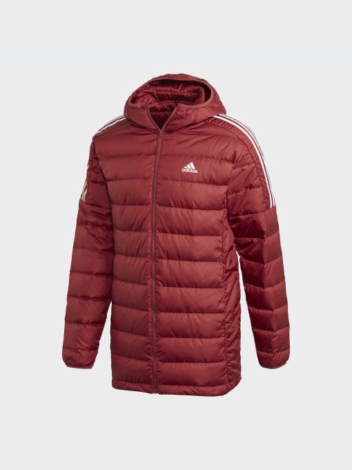 Куртки и дубленки Adidas модель GH4606-KZ Фото