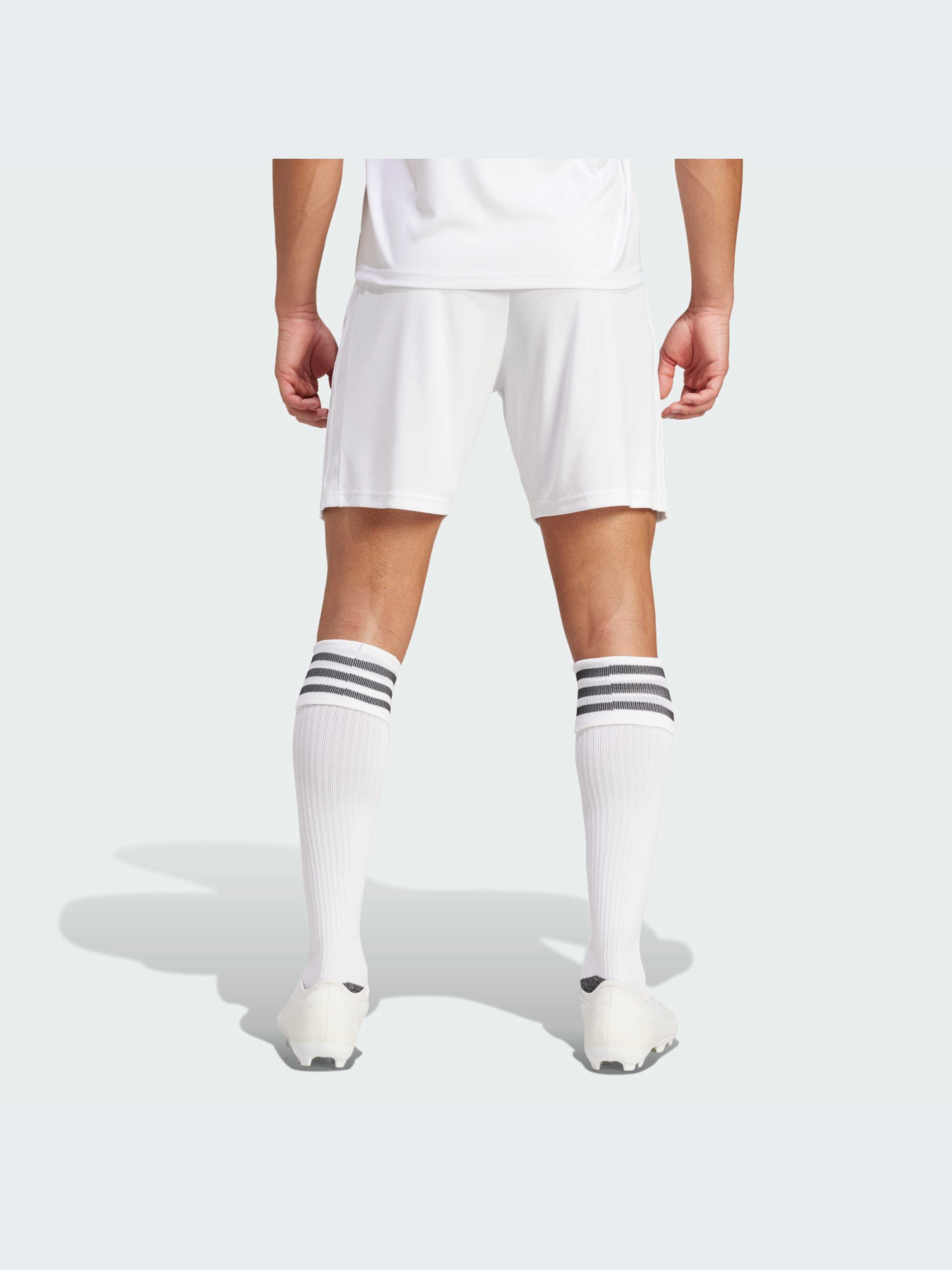 Шорты Adidas модель GN5774-KZ Фото
