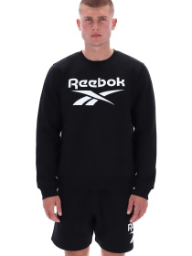 Худи и свитшоты Reebok модель 102247862 Фото