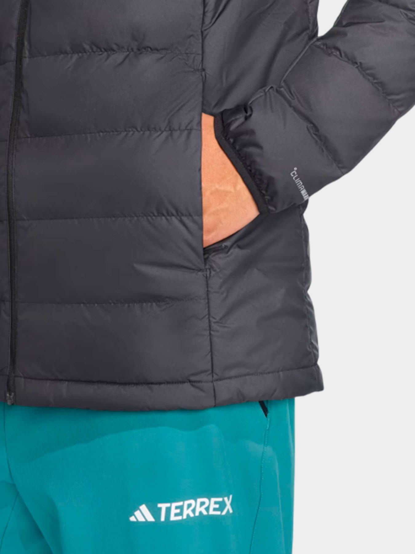 Куртки и дубленки Adidas модель JZ9966 Фото
