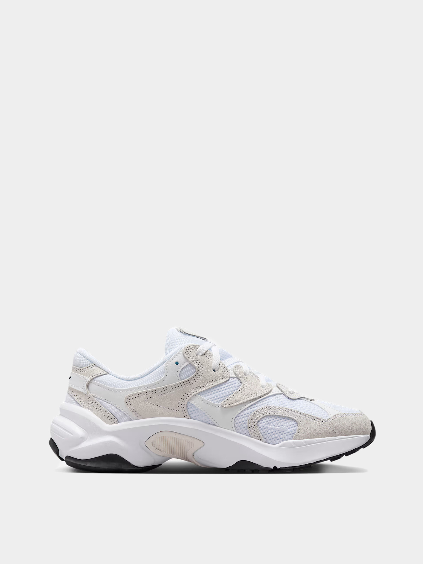 Кроссовки NIKE модель FJ3794-102 Фото