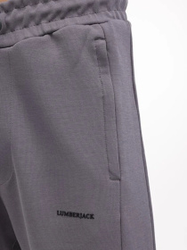 Брюки Lumberjack модель 101701113 Фото