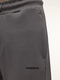 Брюки Lumberjack модель 101701115 Фото