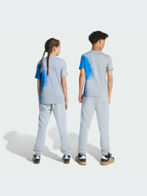 Брюки Adidas модель JX6310-KZ Фото