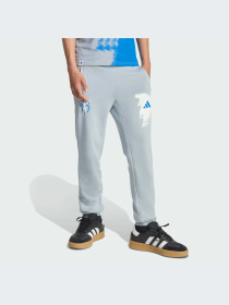 Брюки Adidas модель JX6310-KZ Фото
