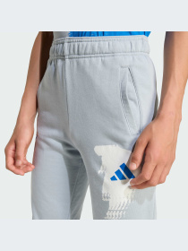 Брюки Adidas модель JX6310-KZ Фото