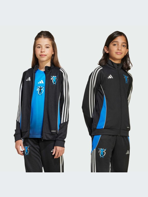Худи и свитшоты Adidas модель JX3943-KZ Фото