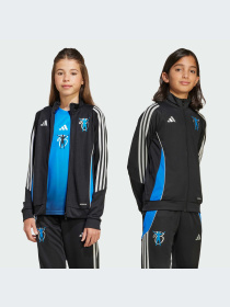 Худи и свитшоты Adidas модель JX3943-KZ Фото