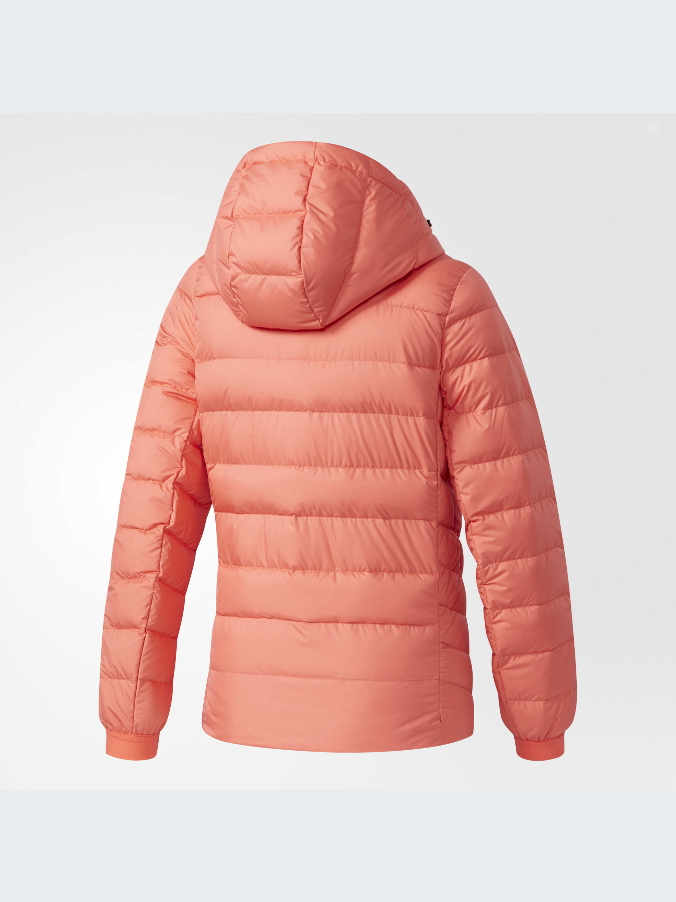 Куртки и дубленки Adidas модель BQ8758-KZ Фото