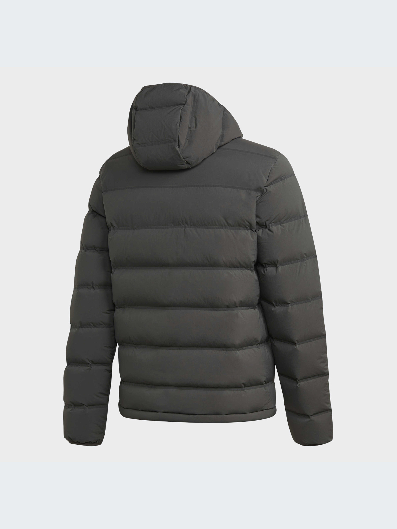 Куртки и дубленки Adidas модель FT2520-KZ Фото