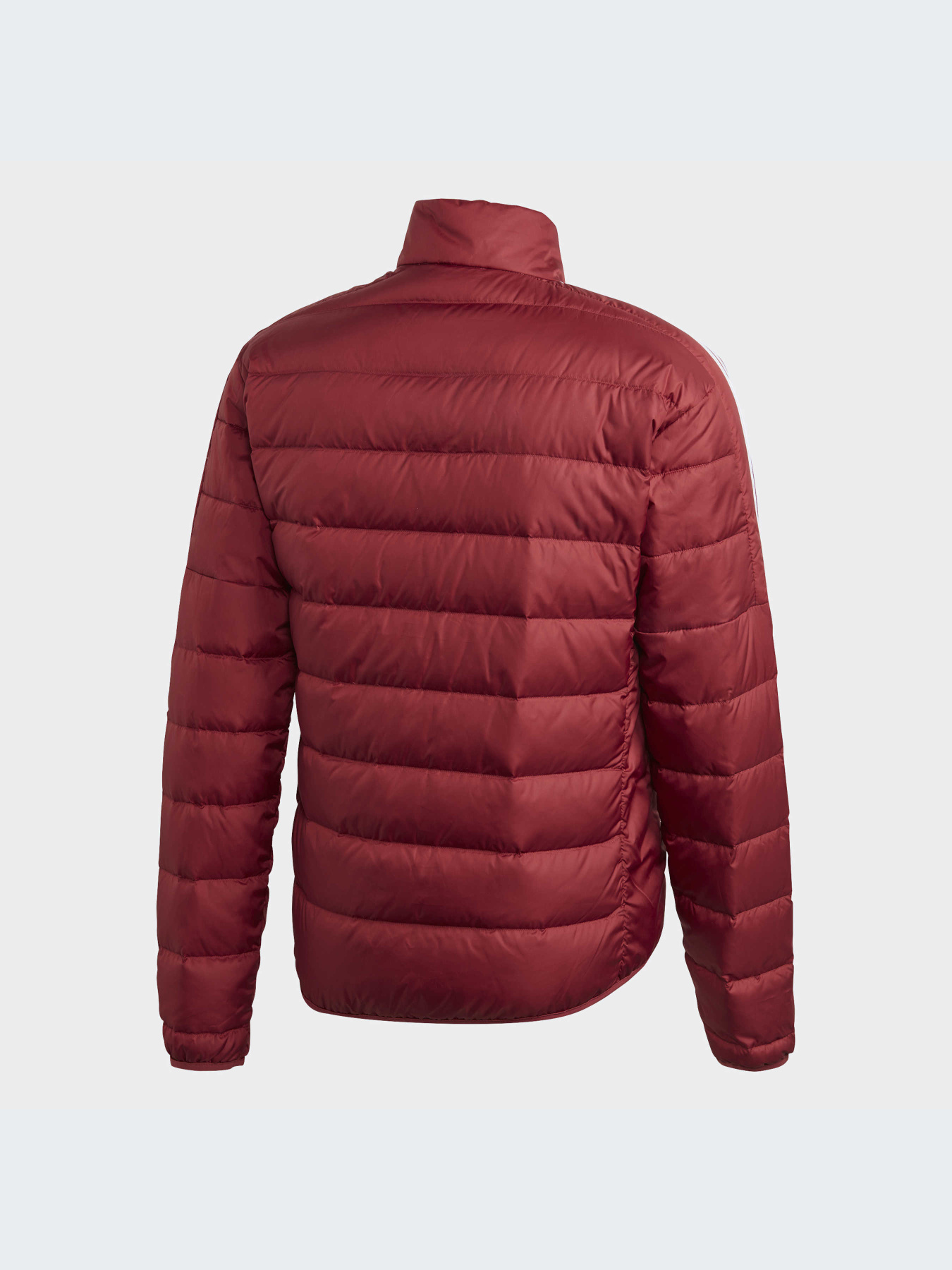 Куртки и дубленки Adidas модель GH4595-KZ Фото