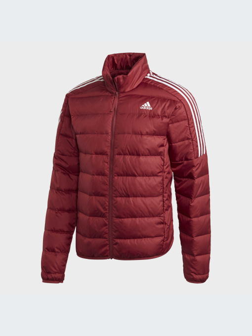 Куртки и дубленки Adidas модель GH4595-KZ Фото