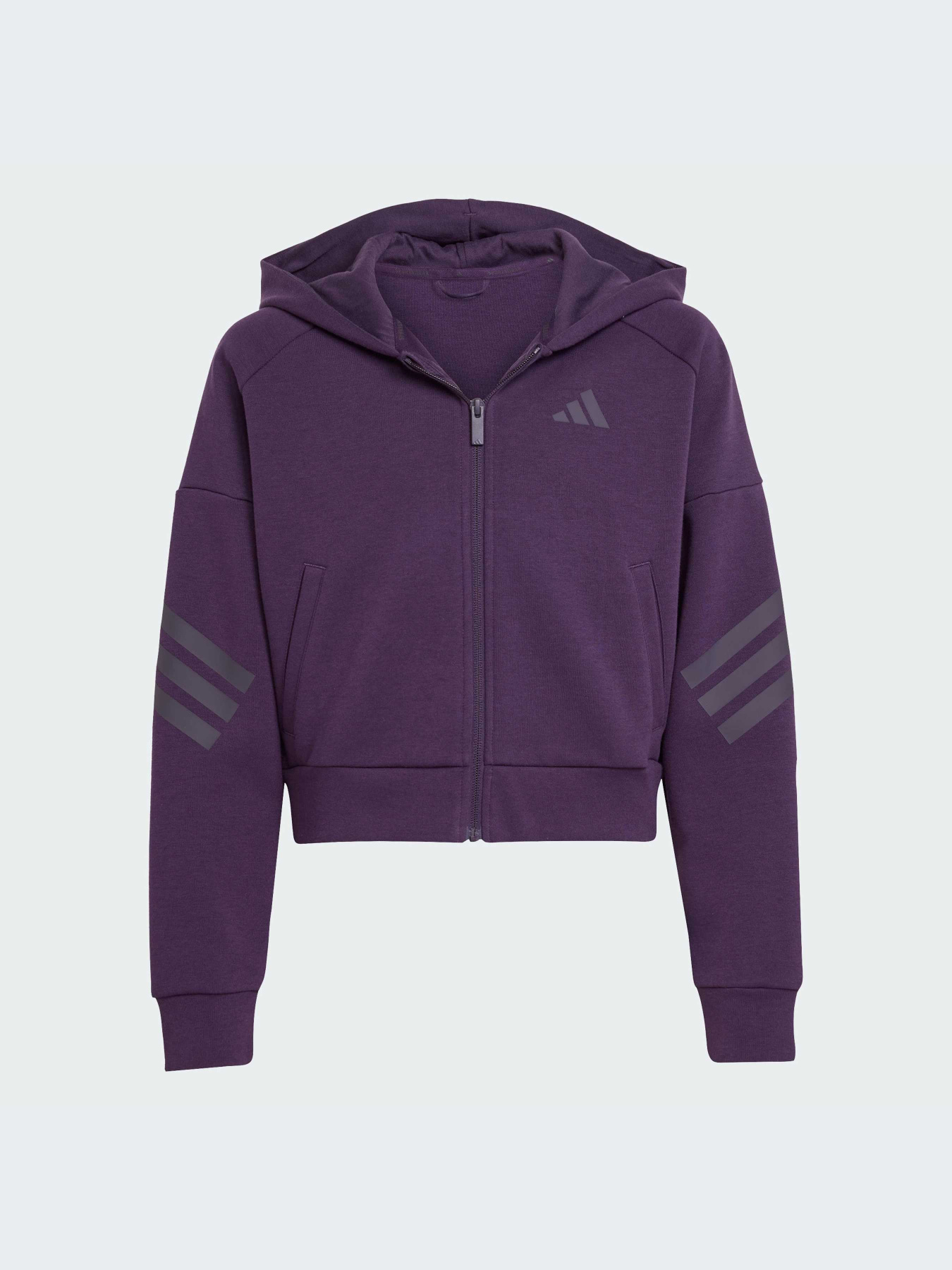 Худи и свитшоты Adidas модель JW7522-KZ Фото