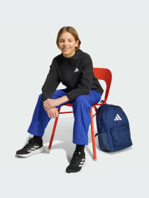 Худи и свитшоты Adidas модель JM1681-KZ Фото