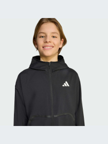 Худи и свитшоты Adidas модель JM1681-KZ Фото