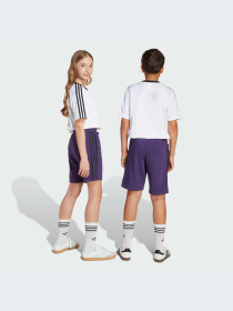 Шорты Adidas Adicolor модель JV8633-KZ Фото