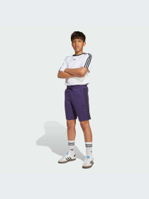 Шорты Adidas Adicolor модель JV8633-KZ Фото