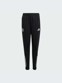Брюки Adidas модель JP3120-KZ Фото