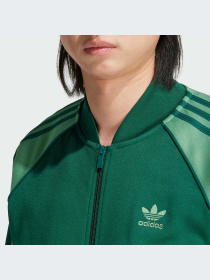 Худи и свитшоты Adidas Adicolor модель IY8731-KZ Фото