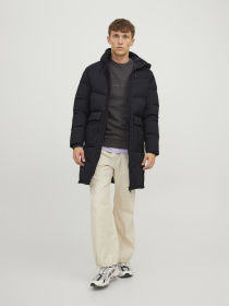 Куртки и дубленки JACK & JONES модель 12238852_Black Фото