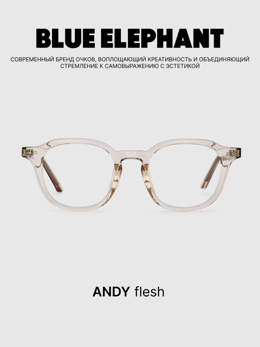 Очки BLUE ELEPHANT ANDY Flesh модель CP114392 Фото