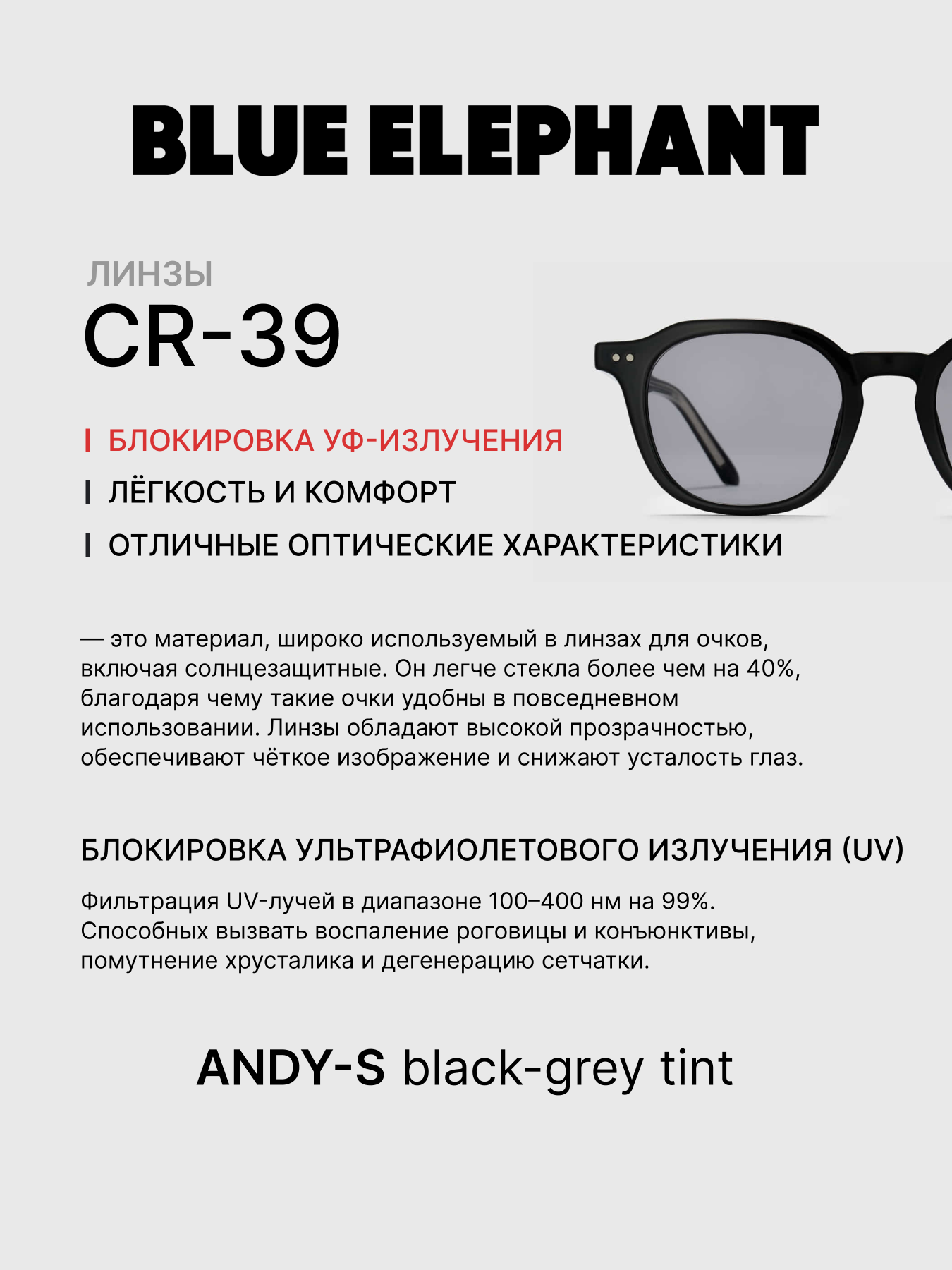 Очки BLUE ELEPHANT ANDY-S Black-Grey Tint модель CP114394 Очки BLUE ELEPHANT ANDY-S Black-Grey Tint модель CP114394 Фото