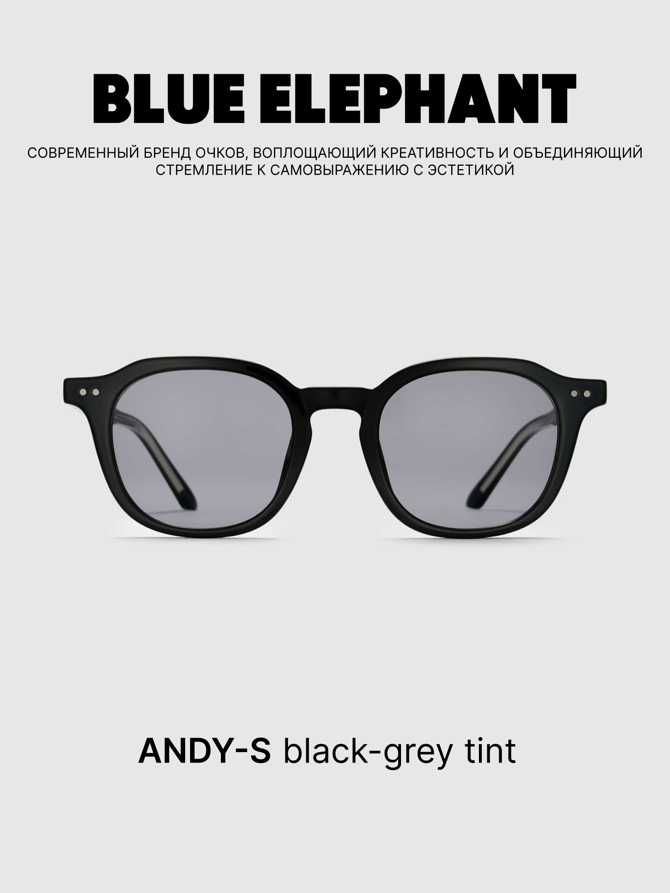 Очки BLUE ELEPHANT ANDY-S Black-Grey Tint модель CP114394 Очки BLUE ELEPHANT ANDY-S Black-Grey Tint модель CP114394 Фото