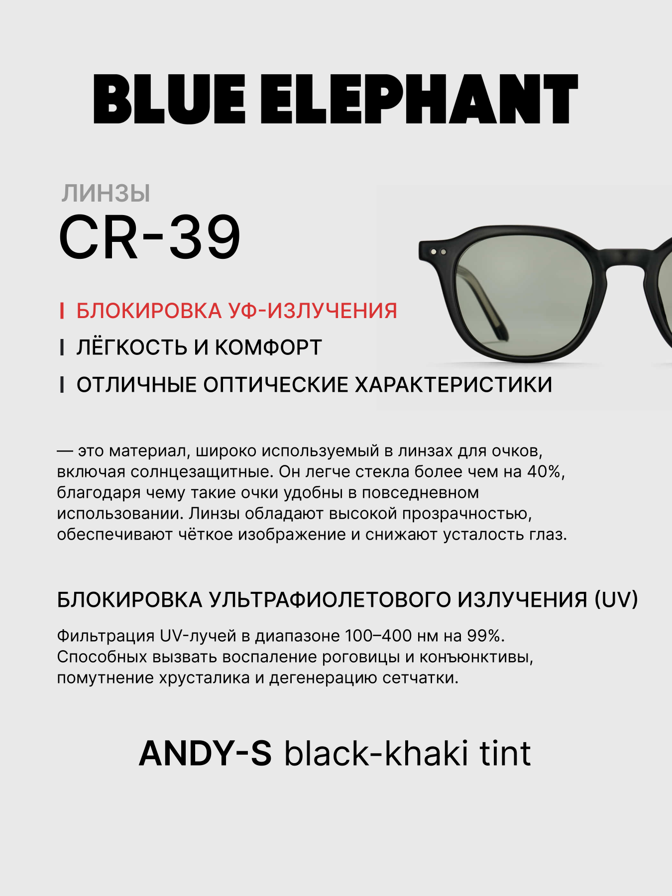 Очки BLUE ELEPHANT ANDY-S Black-Khaki Tint модель CP114395 Очки BLUE ELEPHANT ANDY-S Black-Khaki Tint модель CP114395 Фото