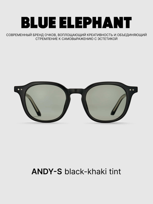 Очки BLUE ELEPHANT ANDY-S Black-Khaki Tint модель CP114395 Фото