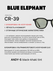 Очки BLUE ELEPHANT ANDY-S Black-Khaki Tint модель CP114395 Фото