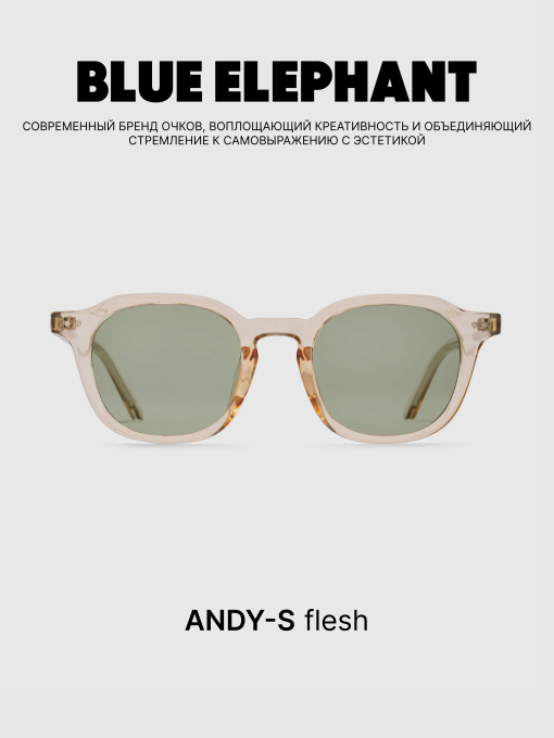 Очки BLUE ELEPHANT ANDY-S Flesh модель CP114396 Фото