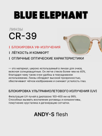 Очки BLUE ELEPHANT ANDY-S Flesh модель CP114396 Фото