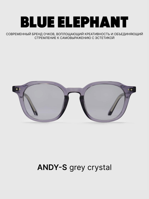 Очки BLUE ELEPHANT ANDY-S Grey Crystal модель CP114397 Фото