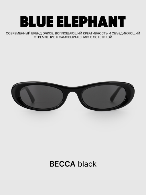 Очки BLUE ELEPHANT BECCA Black модель CP114522 Фото