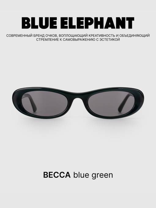 Очки BLUE ELEPHANT BECCA Blue Green модель CP114523 Фото