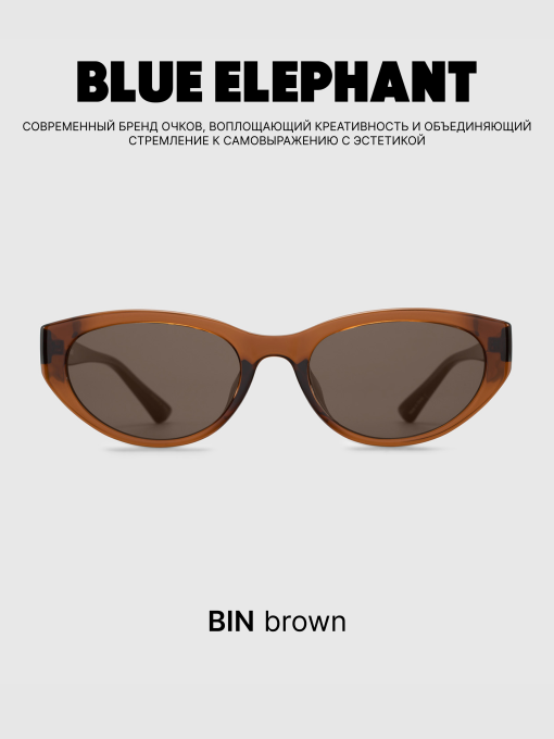 Очки BLUE ELEPHANT BIN Brown модель CP114473 Фото