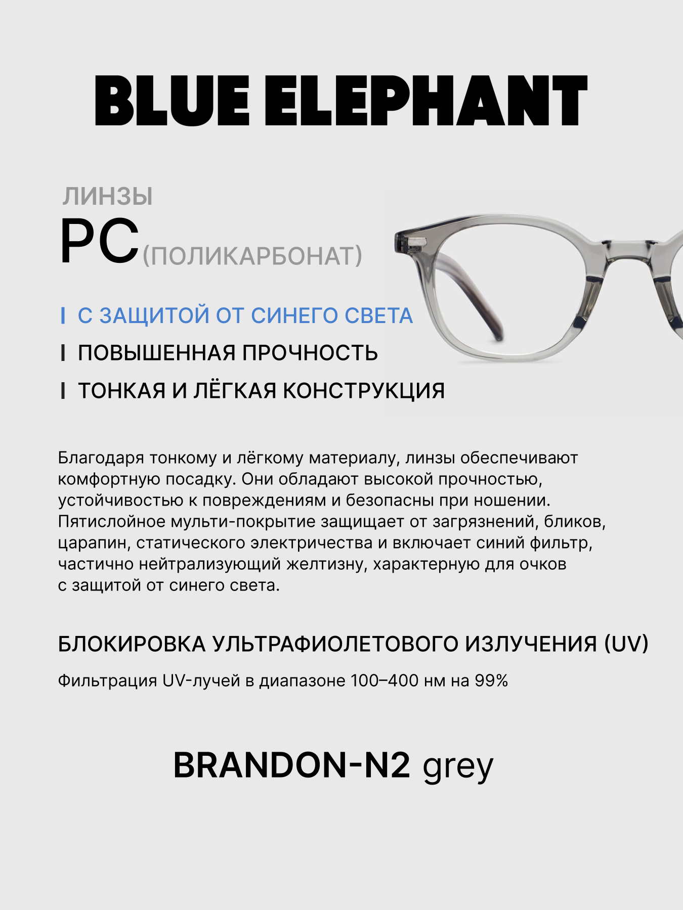 Очки BLUE ELEPHANT BRANDON-N2 Grey модель CP114402 Очки BLUE ELEPHANT BRANDON-N2 Grey модель CP114402 Фото