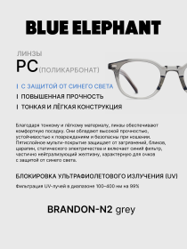 Очки BLUE ELEPHANT BRANDON-N2 Grey модель CP114402 Фото