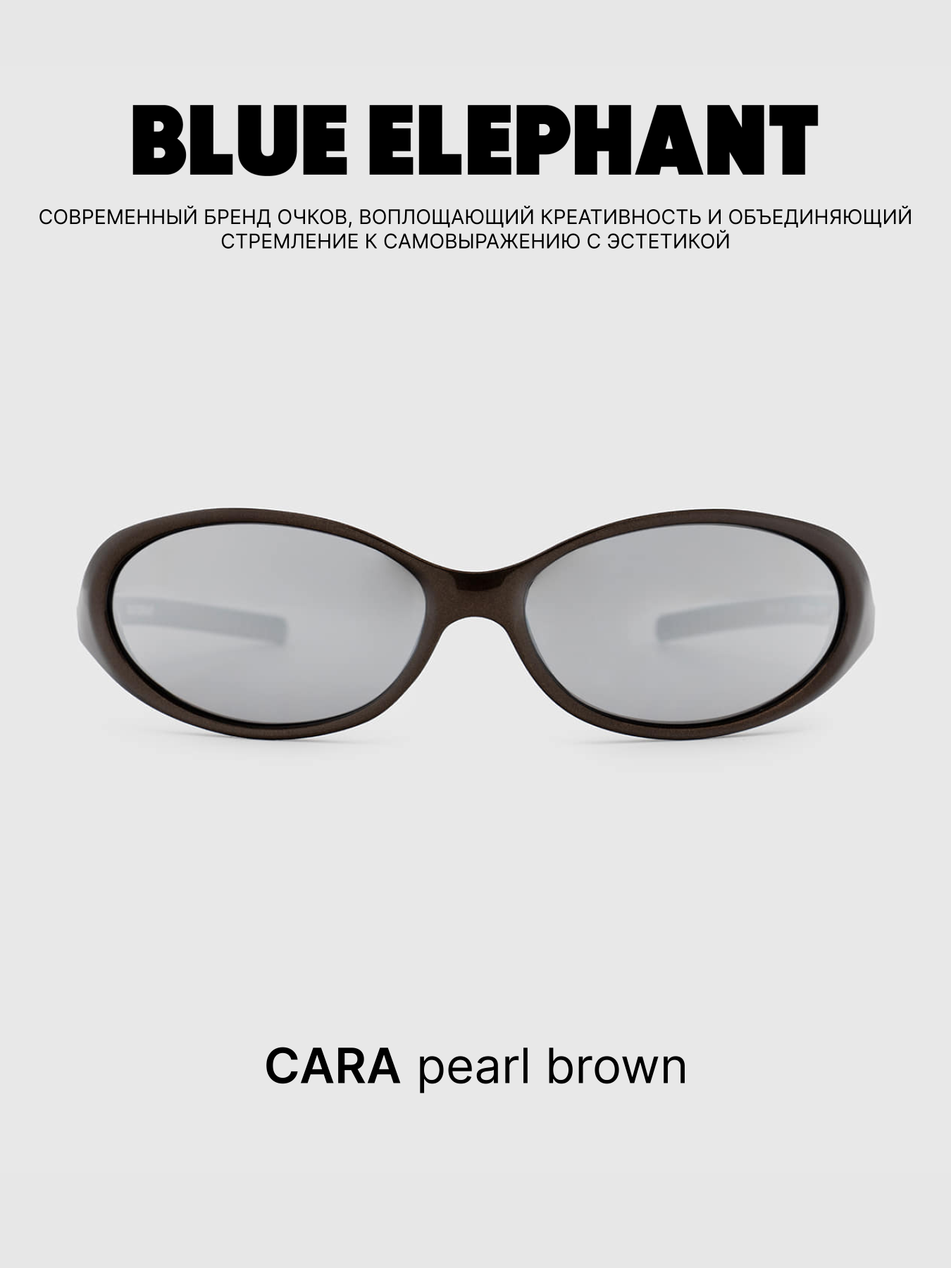 Очки BLUE ELEPHANT CARA Pearl Brown модель CP114476 Очки BLUE ELEPHANT CARA Pearl Brown модель CP114476 Фото
